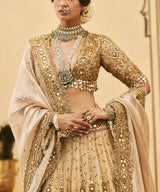 Sunehra Tissue Lehenga Set