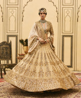 Sunehra Tissue Lehenga Set