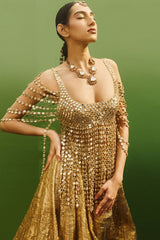 Darpanika Lehenga Set