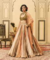 Rangbahar Tissue Brocade Lehenga Set
