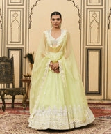 Pudina Organza Lehenga Set