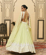 Pudina Organza Lehenga Set