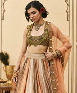 Rangbahar Tissue Brocade Lehenga Set