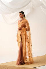 Vritra Saree Set