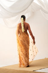 Vritra Saree Set