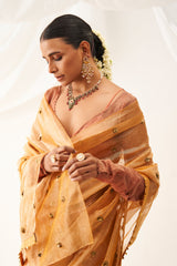 Vritra Saree Set