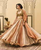 Rangbahar Tissue Brocade Lehenga Set
