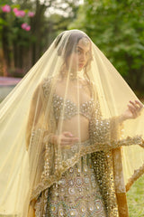 Mrigakshi Lehenga Set- B
