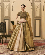 Rangoli Tissue Brocade Lehenga