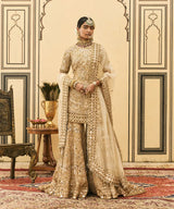 Fawn Organza Garara Set