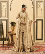 Fawn Organza Garara Set