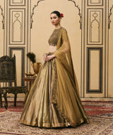 Rangoli Tissue Brocade Lehenga