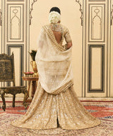 Fawn Organza Garara Set