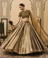 Rangoli Tissue Brocade Lehenga