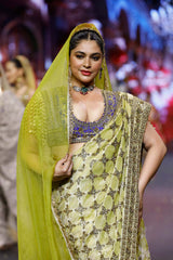 Neelkanthi Noor Bandhani Saree Set
