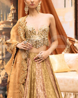 Pravarnika Lehenga Set-D