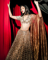 Tarakini Lehenga Set