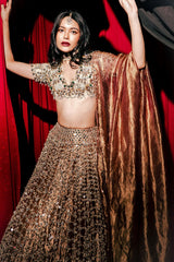 Tarakini Lehenga Set
