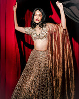 Tarakini Lehenga Set