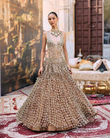 Titeeksha Lehenga Set