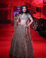 Tarakini Lehenga Set