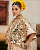 Mradul Aayna Cape Saree