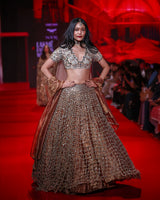 Tarakini Lehenga Set
