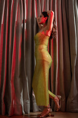 Shenaaz Gill in Keida Dress