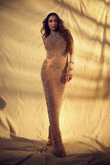 Malaika Arora in Amelia Column Gown