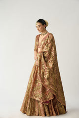 Gulabo Do Rang Lehenga Set