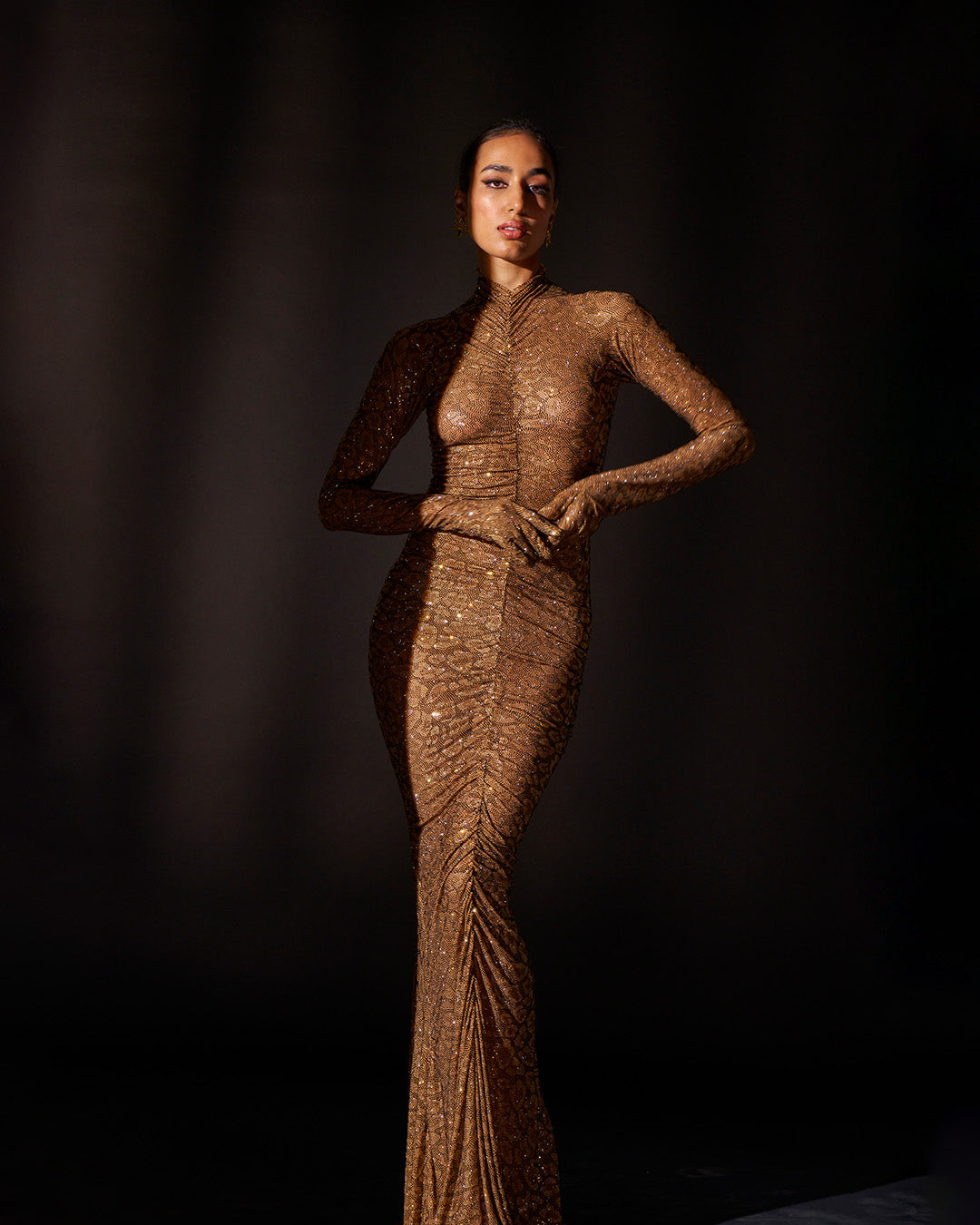 Wild Cat Gown