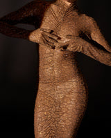 Wild Cat Gown