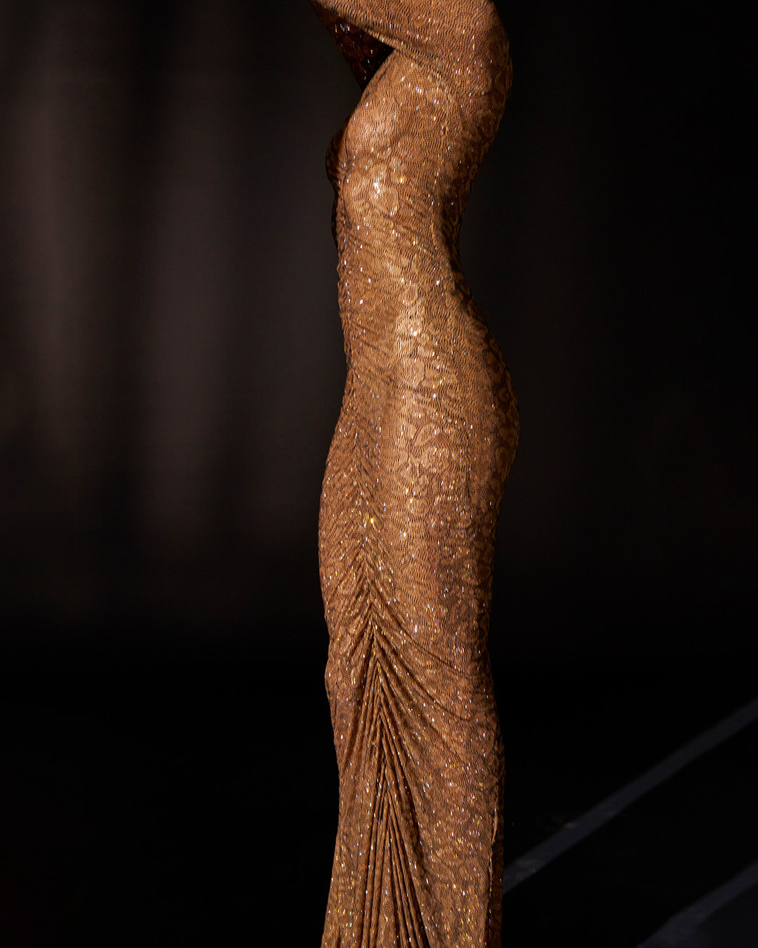 Wild Cat Gown