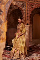 Ruhaniyat Lehenga Set