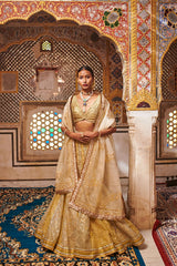 Riyaaz Lehenga Set