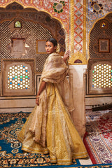 Riyaaz Lehenga Set