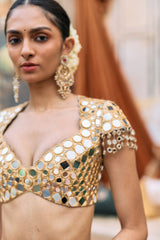 Patralekha Saree Set