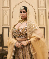 Suvarnarang Tissue Brocade Lehenga Set