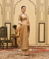 Tamra Tissue Saree Set