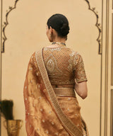 Tamra Tissue Saree Set