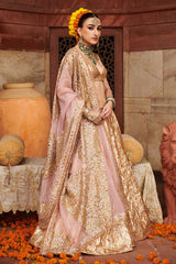 Padmasvar?a Lampi Lehenga