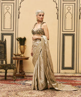 Swarnim Tissue Brocade Metal Saree Set
