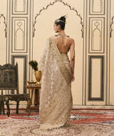 Dhoomra Tissue Brocade Metal Saree Set