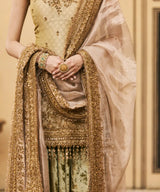 Hariyal Velvet Brocade Farshi Set