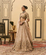 Maang Tika Tissue Lehenga Set