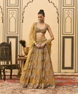 Sarson Tissue Lehenga Set