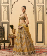 Sarson Tissue Lehenga Set