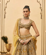 Sarson Tissue Lehenga Set