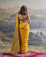 Pehr Crepe Saree Set