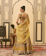 Sarson Tissue Lehenga Set